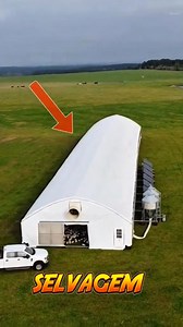 1.2K views | GALINHEIRO MÓVEL | Selvagem | Facebook