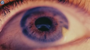 The night she said "there is no God" - the next morning she fell