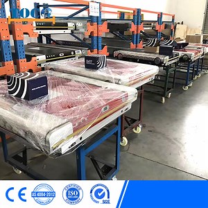 [Hot Item] Pallet Runner Shuttle Racking Cold Storage Fifo Filo for Beverage