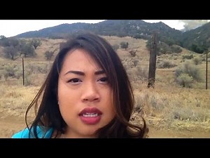 Thuy Lan Nguyen Gives the update of the brush fire in Tehachapi