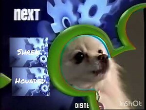 Disney Channel Next Bumper (February 16, 2005)