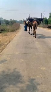 Aage aage chale hum#rajesh#kumar#🌱🍃💯 | Rajesh Khakhalaya