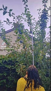 Our Apple tree Story | Bigman Wife beauty clinic