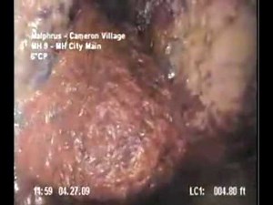 REAL ALIEN SEWER MONSTER!!!.