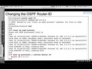 OSPFv2 Configuration: Basic Configuration