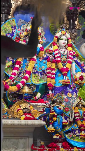 4K views · 145 reactions | Rang Mat Dare Re Holi Song Song: Rang Mat Dare Re Album: Kanudo Rang Dar Gayo Language: Marwari (Rajasthani) Produced By: K.C.Maloo (Veena Music Pvt. Ltd., Jaipur, Rajasthan, India) Directed By: K.C.Maloo Music: Nirmal Mishra Singer: Seema Mishra & Group Lyrics: Chandrasakhi Music Label: Veena #Veenamusic #marwadisongs #holi #holisong #holisong2024 #Krishnaholisong #Krishnasong #holibhajan#trending #reeitfeelit #likesforlike | Veena Music | Facebook