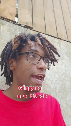 Exploring the Gingers Are Black Concept
