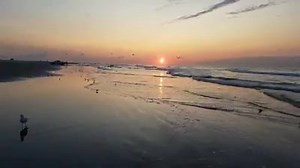 1K views · 157 reactions | Good morning Brigantine Beach Baby, Beach Baby, there on the sand From July to the end of September | Real Brigantine | Facebook