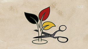 Degrowth-Bewegung: wie die Bundesregierung wachstumskritische NGO finanziert
