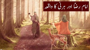 1K views · 211 reactions | Zamin E Ahoo Mola Reza as | Azadari Network #molarazaع #karbala | Azadari Network | Facebook