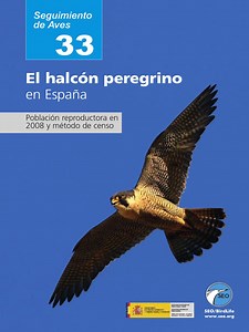 Ejay Halcon Que Data De La Historia