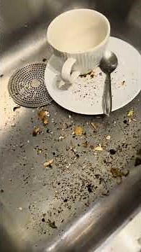 Fixing a toaster that won’t stay down…. The easy way. Magimix