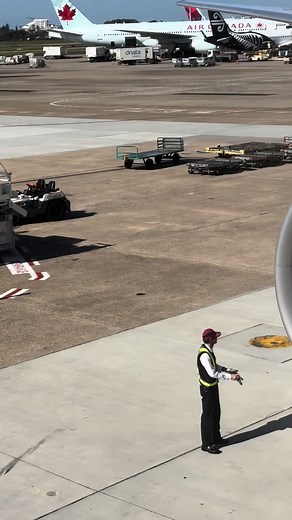 TikTokで猫のテツさんをチェック！