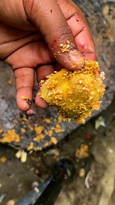 Chicken gizzard how can clean | FishingBd420