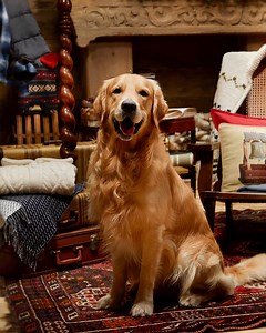 Let our Holiday Gift Guide: Cozy Lodge inspire your shopping this season.​ From cozy outerwear and timeless accessories to luxurious knits, you’ll find something special for everyone on your list: bit.ly/Holiday_Gift_Guide_FW24 | Woolrich