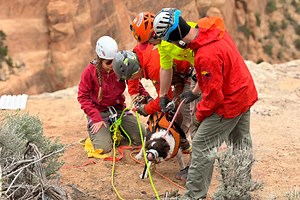 Dog Rescued After Falling 100 Feet Into Canyon