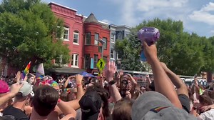 22 reactions | Capital Pride Block Party. #PeaceLoveRevolution | Capital Pride | Facebook