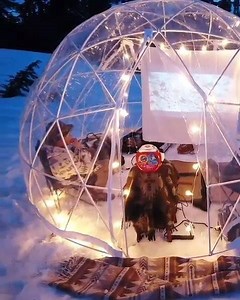 Netflix and chill but with a twist! Next time you are in Washington, don't forget to head out to the snow covered wilderness of Mount baker. Sitting in a transparent warmth surrounded by nature's luxuries, a movie date couldn't feel more special. #woovlybucket #travelUSA | Woovly - Shop Socially | Facebook