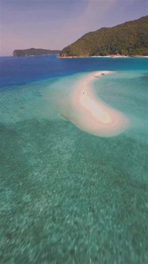 The irresistible urge to plunge into the crystal clear blue waters of Redang. 🤩🏖️🥽 📍Redang Island, Terengganu 📷AZWAN Saedon #MalaysiaTrulyAsia #InilahMasanya #CutiCutiMalaysia #Terengganu #RedangIsland #beach #crystalclearwater #whitesands #beachlife #nature #sealife | Tourism Malaysia