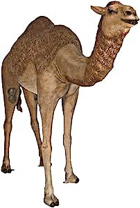 Design Toscano Grand-Scale Desert Camel Statue