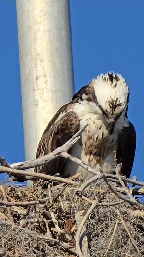 #everglades #flamingonationalpark #photography #photographer #photooftheday #instagood #instagram #beautiful #beauty #natgeoyourshot #nationalgeographic #nature #natgeo | Gigi Benitez