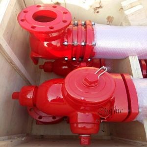 [Hot Item] Ductile Iron Outdoor Ground Fire Hydrant for Sale