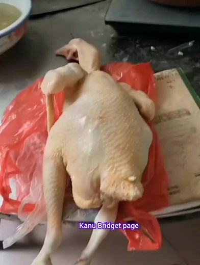 Chicken transformation 😳😳😳 | Kanu Bridget page