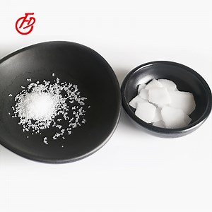 [Hot Item] Caustic Soda 1310-73-2 Caustic Soda for Soap