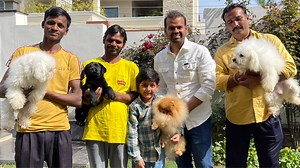 Toy Breed Gang Toy Pom And Bichon Fries By Guy And Puppy Dog Kennel Amritsar Punjab | Scoobers #bichonfrise #toypom #dogs #scoobers Owner Kanishak Dhammi 91 98722 99923 | Kartik Mahotra Vlogs