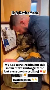 15K views · 877 reactions | We had to retire him… After years of...