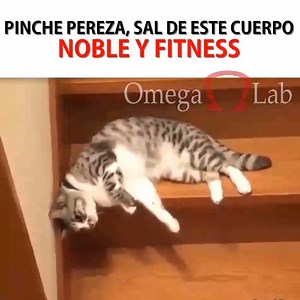 :( :( :( #OmegaLabs | Omega Labs