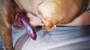 alone with her little dog