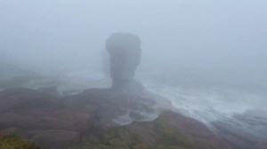 Another day along Arbroath Cliffs where the Haar never let up all day . Made for quite an atmospheric walk though . | Strange Places in Scotland