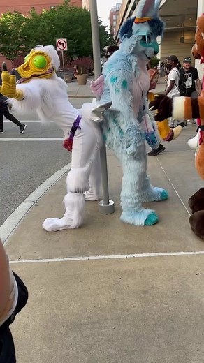 Unique Bird Fursuits at Anthrocon 2022