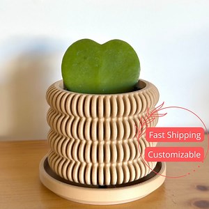 Unique Bubble Succulent Planter Pots | 3D Planters and Pots Indoor | Planters With Saucers | Indoor Unique Houseplant Pots With Drainage - Etsy