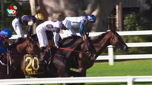 91 reactions | Stable Talk with The Babe | David Eustace  BT heads along to a misty Moonee Valley to catch up with David Eustace, co-trainer at Ciaron Maher Racing  #WhereWinningBegins ✨ | New Zealand Bloodstock | Facebook