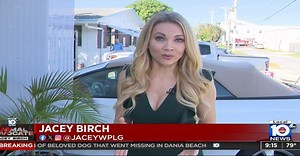 My Animal Advocate Investigation into a missing dog in Dania Beach… have you seen Rosie?! | Jacey Birch