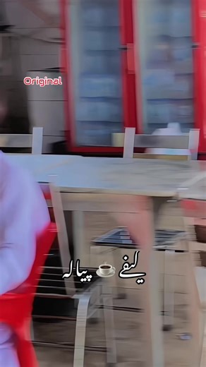 کیفے ☕️ پیالہ on TikTok