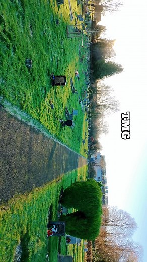 Understanding TMG: Benefits and Best Supplements