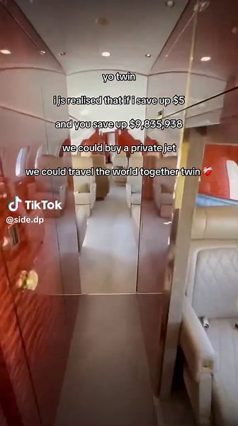 Dreaming of Adventures with My Twin ❤️‍🩹✈️