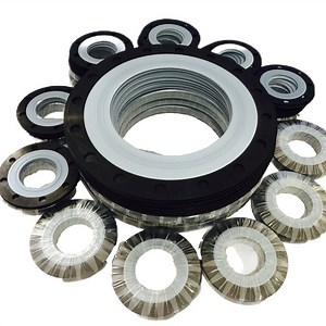 [Hot Item] PTFE Bonded EPDM Flat Gasket for Flange Seal with DIN