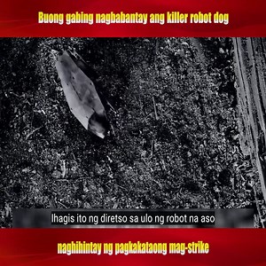 89K views · 1.6K reactions | Buong gabing nanonood ang killer robot dog na naghihintay ng pagkakataong mag-strike. #reels2024 #review #free #fpy #trendingreelsvideo #viralreelsfb #reelsfypシ #reelsvideo | Honcho Flemo ㅦヰ | Facebook