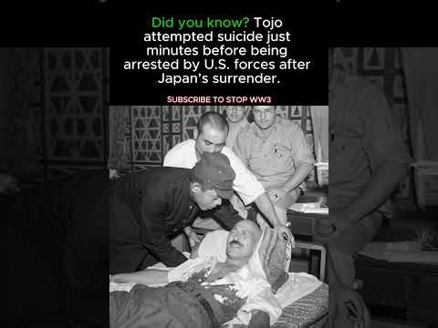 Japan’s Ex-Prime Minister TOJO Tried to End It All… But Failed || WW2 #shorts