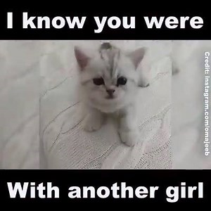 Cutieee :-D | Animal Lovers Club