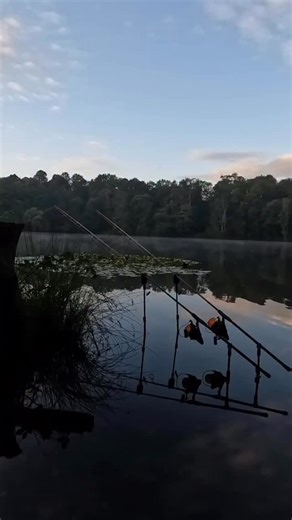 Auf geht’s, ab geht’s 🐟💨 #carpsounder #carpsounderageone #carpsounderrocxrs #bitealarm #bitealarms #bissanzeiger #fishingtackle #tackle #carptackle #carpfishingtackle #fishinggear #fishingstuff #carpfishing #karpfenangeln #pechecarpe #karpervissen #fishon #carprun | Carp-Sounder