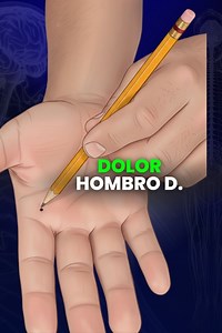 152K views · 7.8K reactions | El dolor de hombro puede limitar tu movimiento y tu vida diaria. Pero no siempre necesitas medicamentos ni sesiones eternas para aliviarlo. A veces, basta con activar el punto correcto y dejar que el cuerpo haga lo que sabe hacer: sanar. Este ejercicio puede ayudarte en solo minutos.  Comenta TERAPIA si quieres más técnicas prácticas para eliminar el dolor desde la raíz. | Terapia del Dolor | Facebook