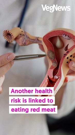 VegNews on Instagram: "Eating a plant-based diet, along with other nutrition interventions including avoiding meat and consuming seaweed, may help prevent and treat endometriosis, according to a new scientific review published in the medical journal Frontiers in Nutrition. Endometriosis, which affects roughly 190 million women and girls of reproductive age globally, is characterized by the presence of endometrial tissues outside the uterine lining, typically on the external surface of the uterus