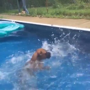 "My dog hasn't really figured out swimming yet..." 😂😂 | VT