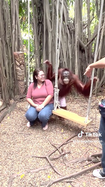 Orangutan Kisses Woman - Protecting Orangutans from Deforestation