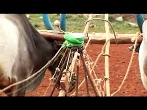 Indigenous Agricultural Implements
